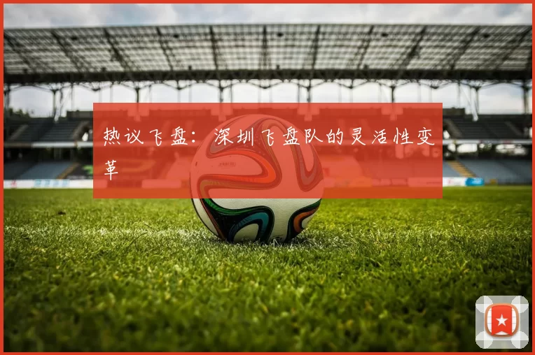 热议飞盘：深圳飞盘队的灵活性变革