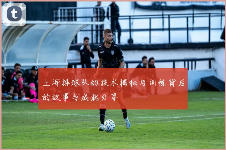 上海排球队的技术揭秘与训练背后的故事与成就分享