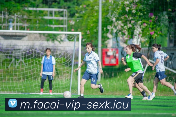 乐鱼体育发展历程